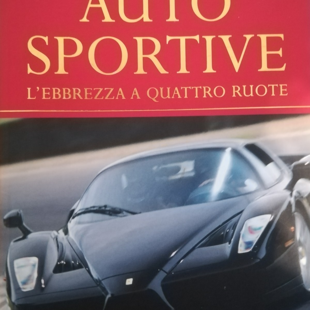 Auto sportive – l’ebbrezza a&nbsp;quattroruote